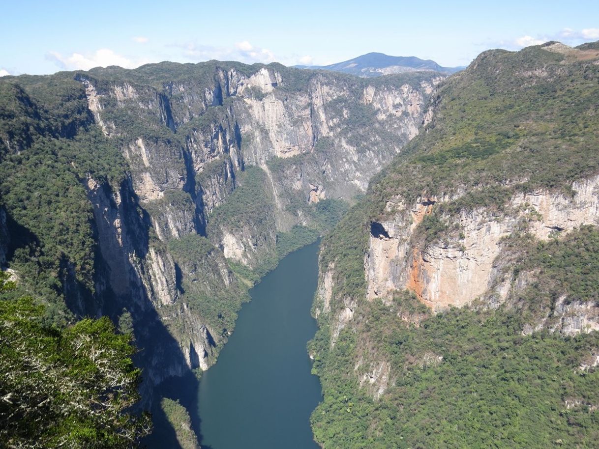 Place Chiapas