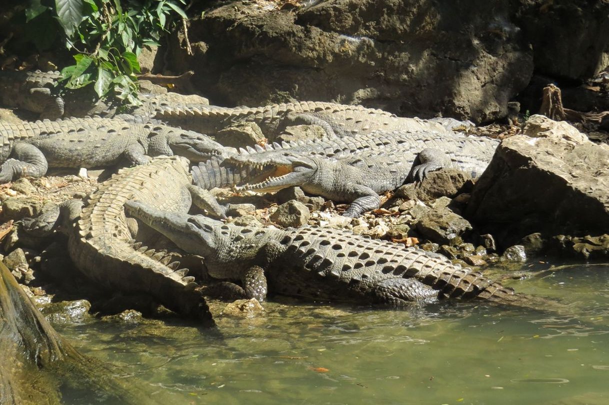 Lugar Chiapas