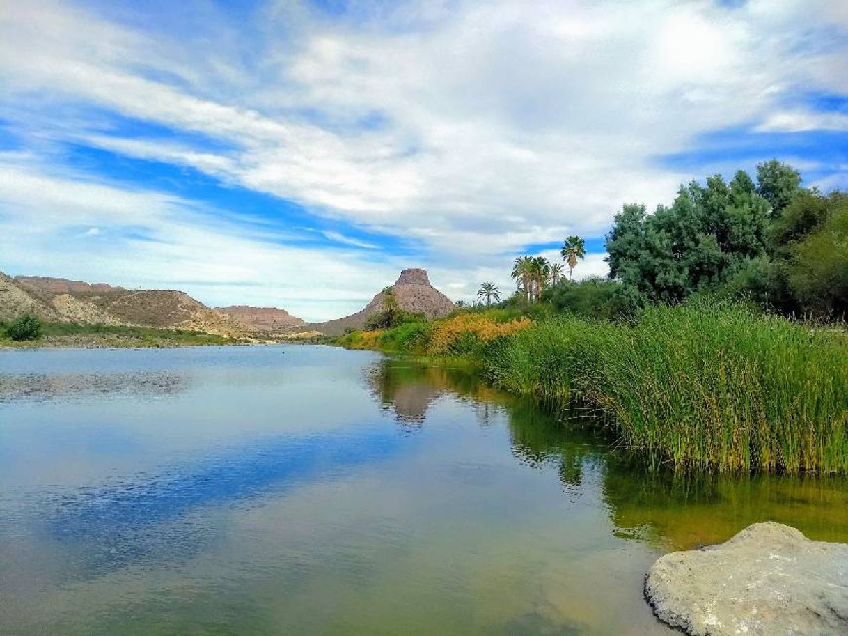 Lugar La Purísima