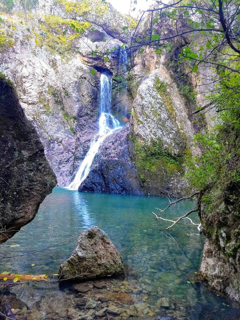 Lugar Cerocahui