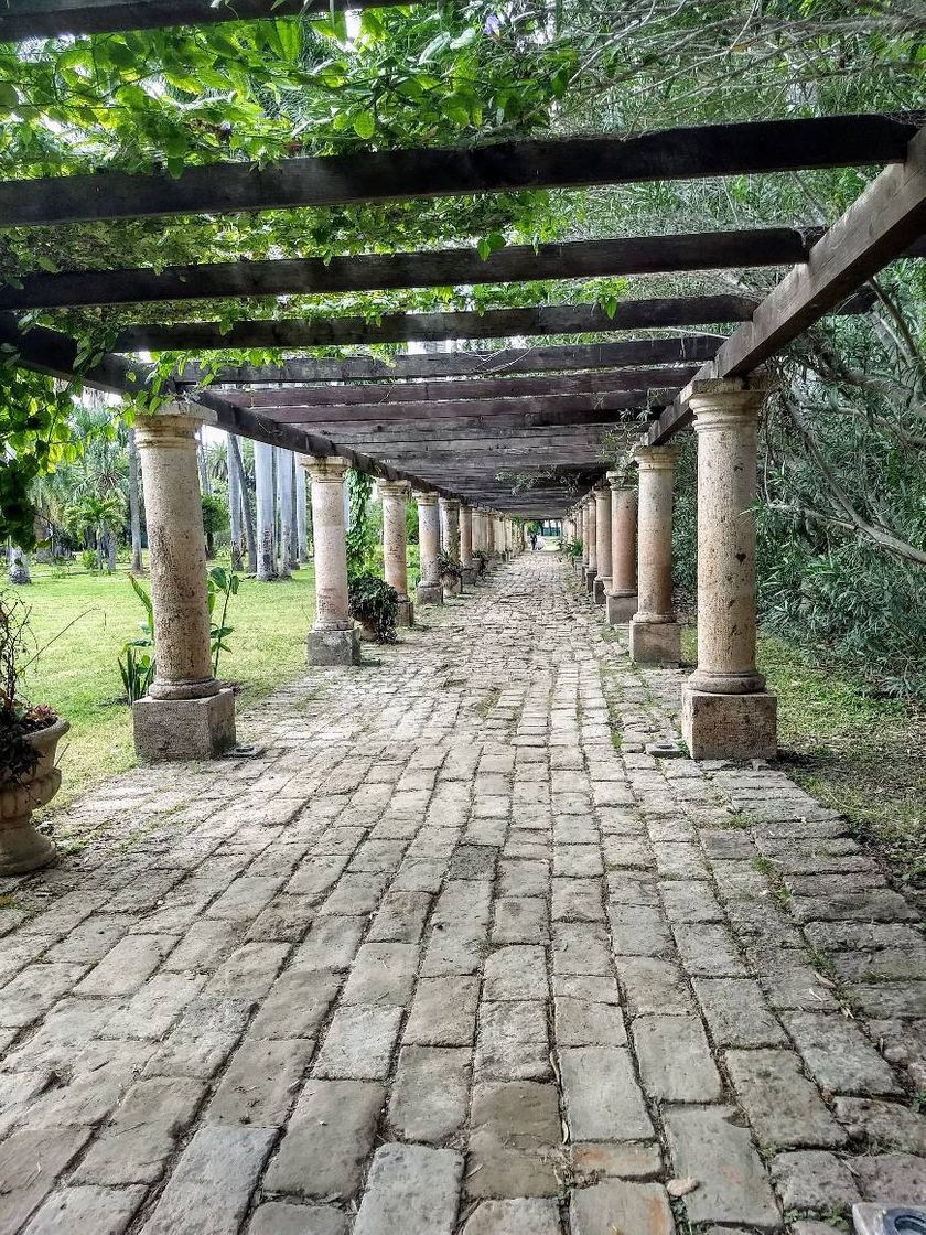 Place Jardín Botánico Benjamin Francis Johnston