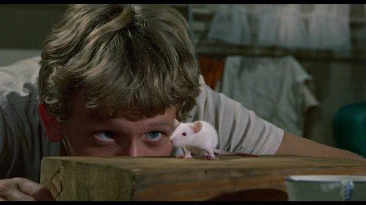 Social Willard (1971)