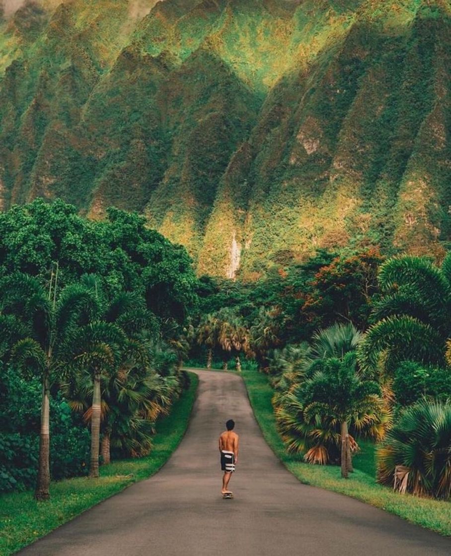 Moda Meu sonho é ir para o Hawaii ❤️