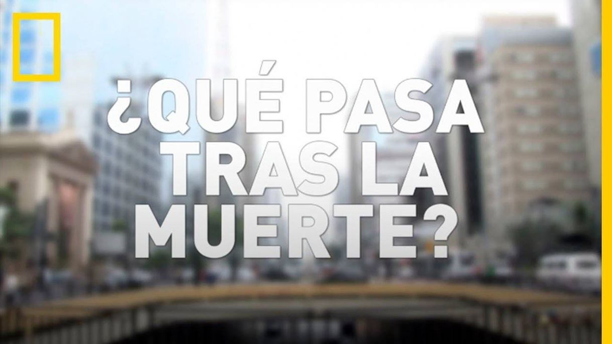 Social ¿Qué pasa tras la MUERTE? con Morgan Freeman!📽️😱