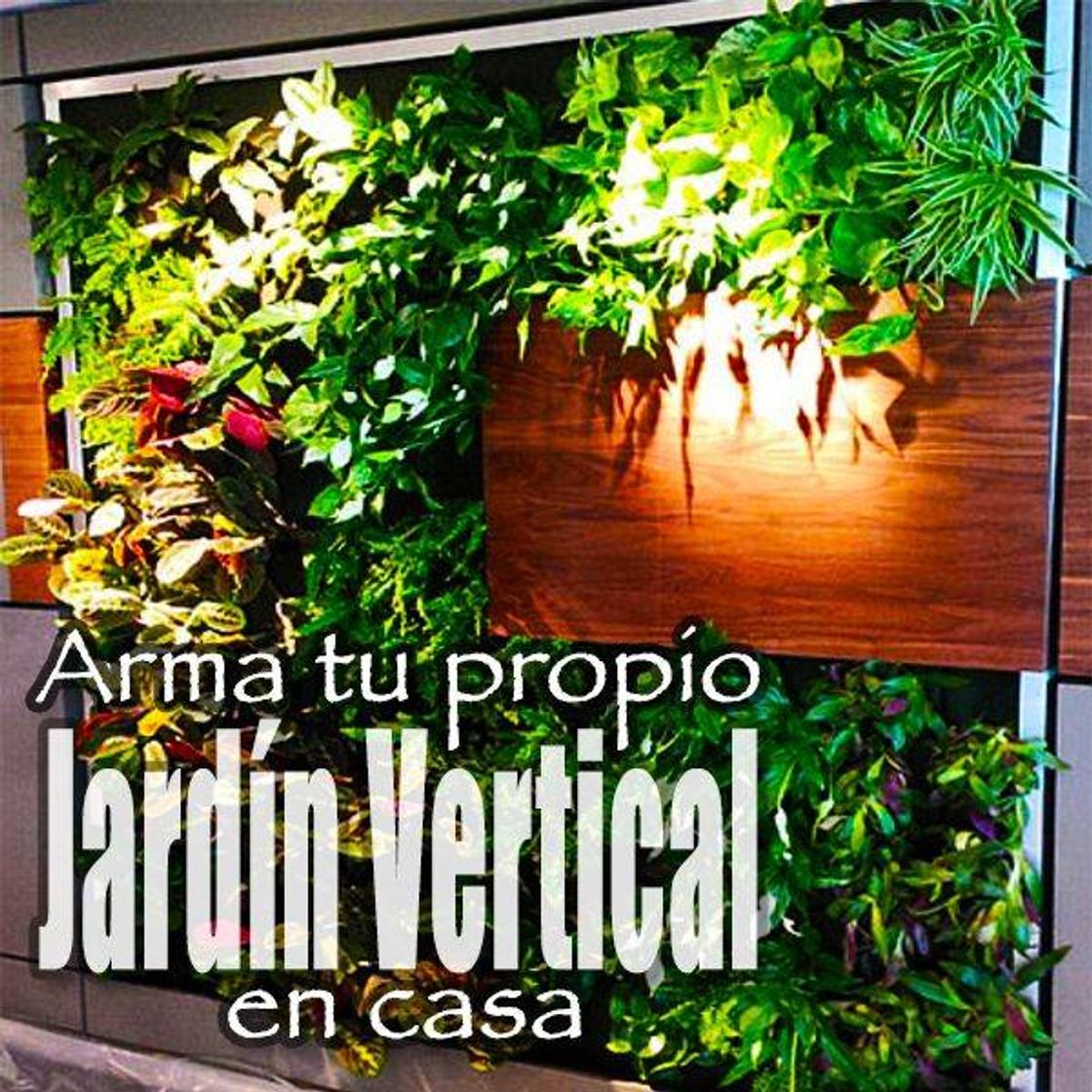 Social Curso básico para armar tu propio jardín vertical!🌹🌿🍀
