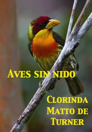 Aves sin nido