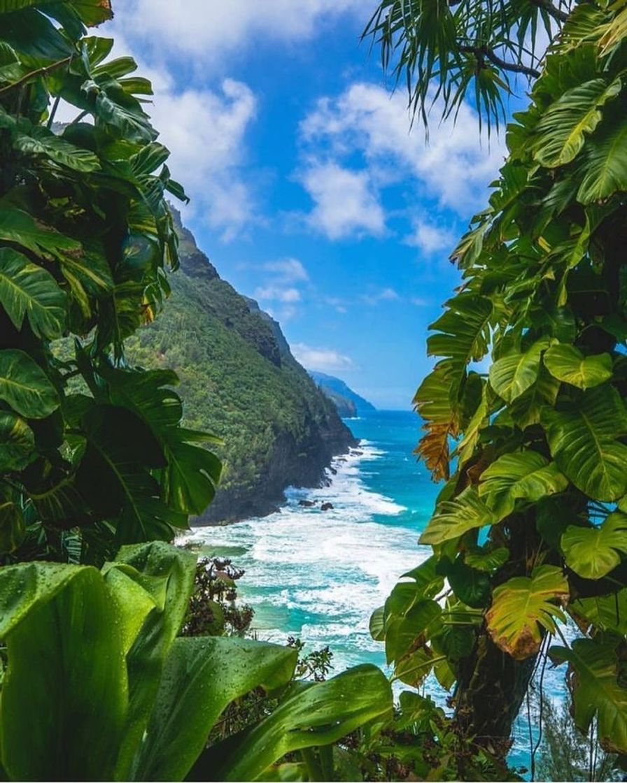 Place Kalalau Valley