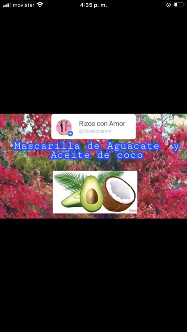 Fashion Mascarilla de aguacate 🥑 y aceite de coco 🥥 