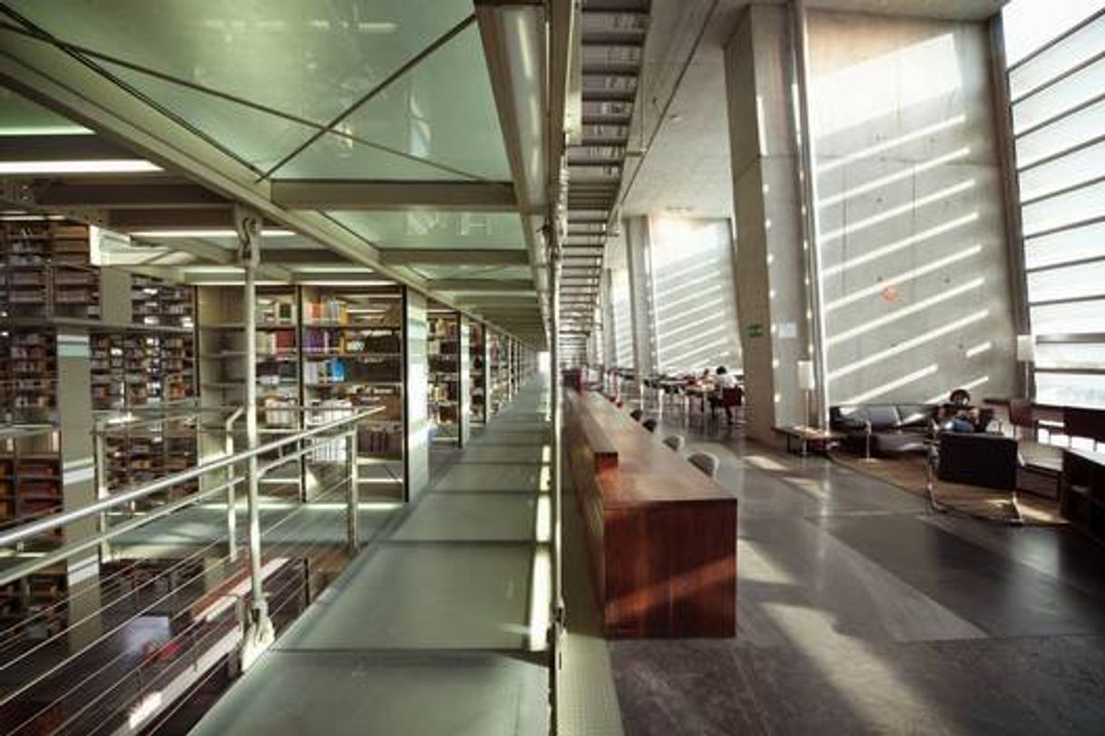 Lugar Biblioteca Vasconcelos