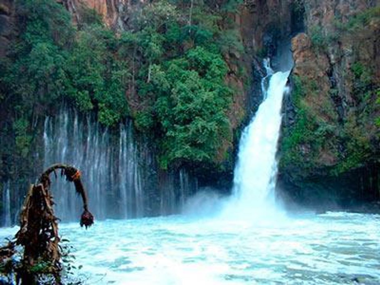Place Parque Nacional de Uruapan