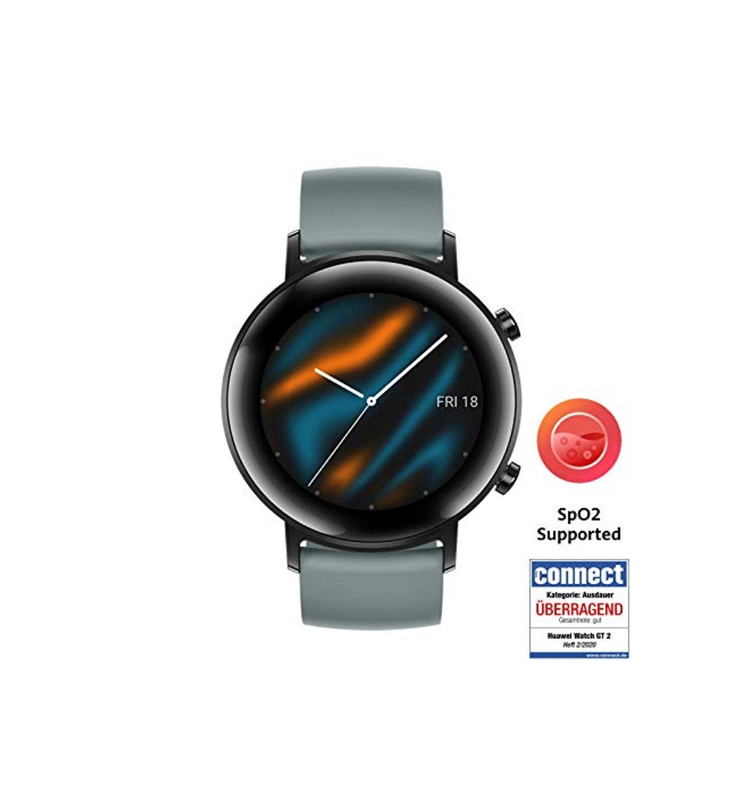 Product HUAWEI Watch GT 2