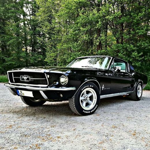 '67 Mustang Fastback 