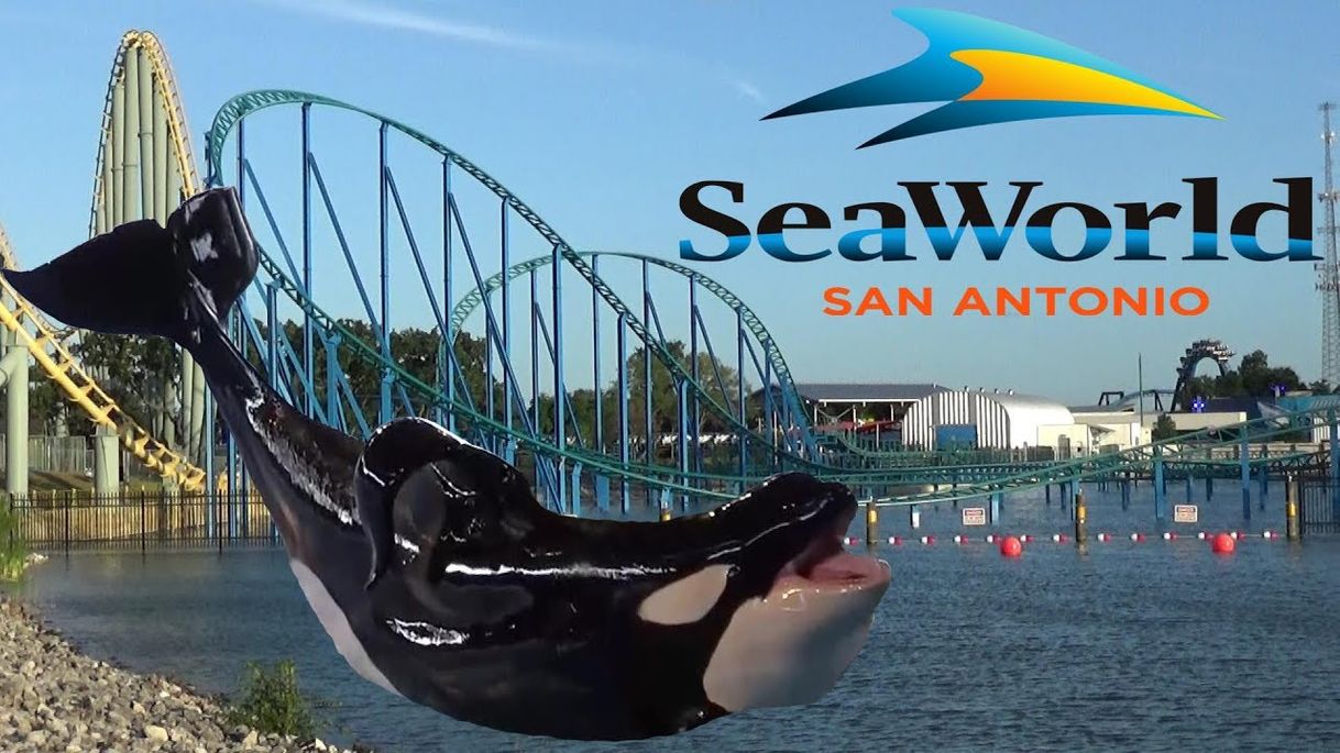 Lugar SeaWorld San Antonio