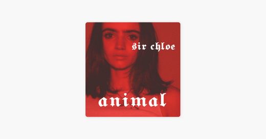 Animal - Sir Chloe 