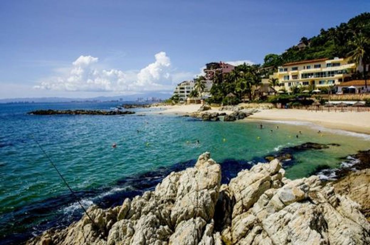 Place Puerto Vallarta