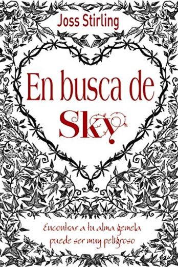 Almas gemelas, 1. En busca de Sky