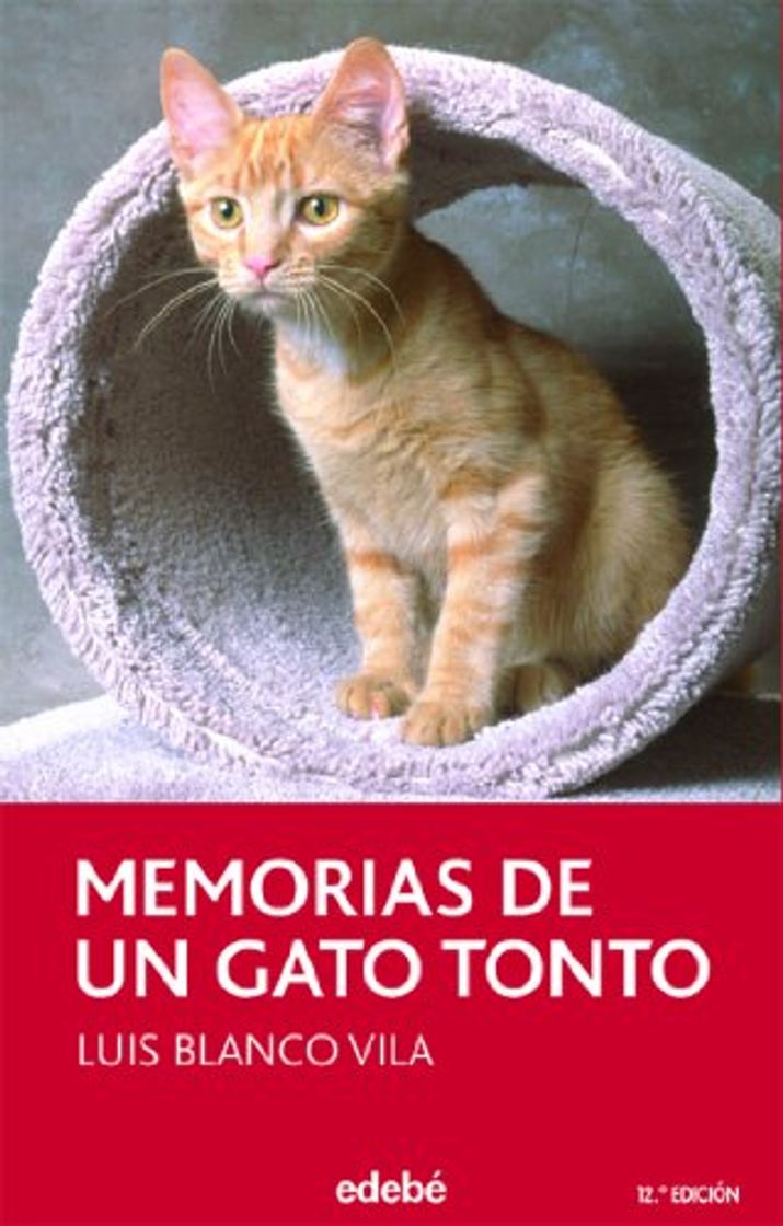 Libros Memorias de un gato tonto