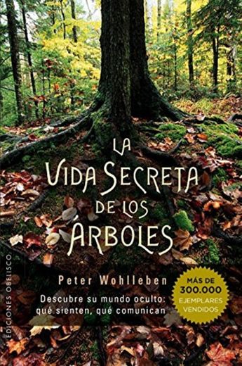 Vida Secreta de los árboles