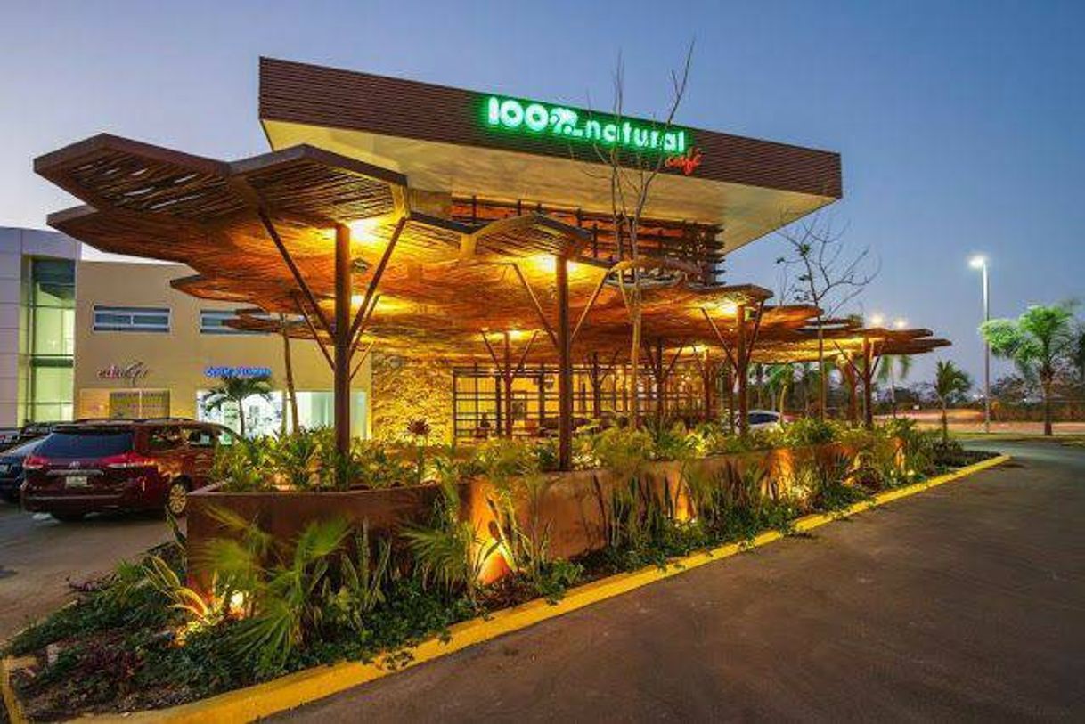 Restaurants 100% Natural Chilpancingo