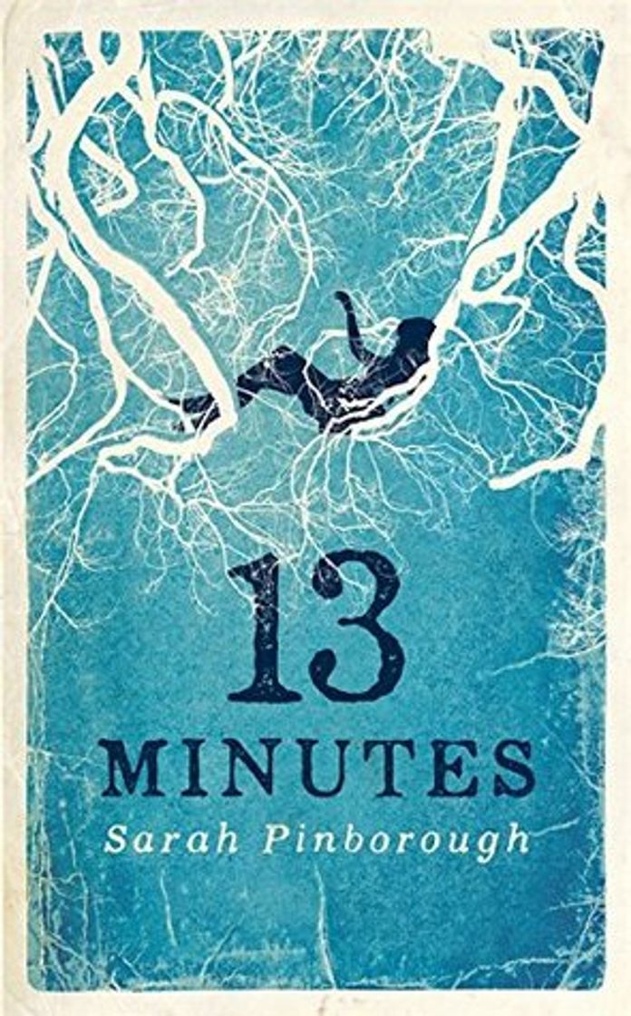 Libro 13 Minutes