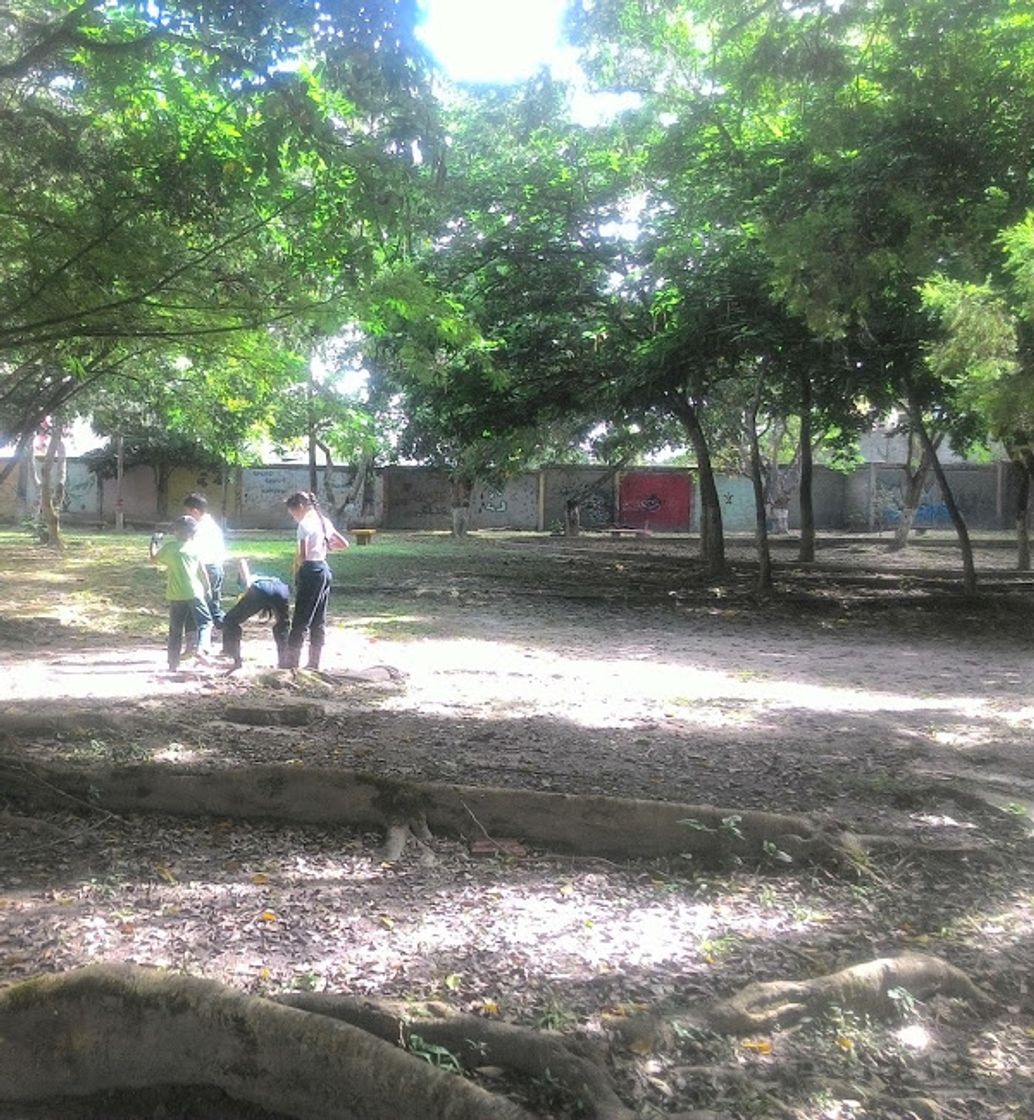 Lugares Campo Escuela Scout Paramacay