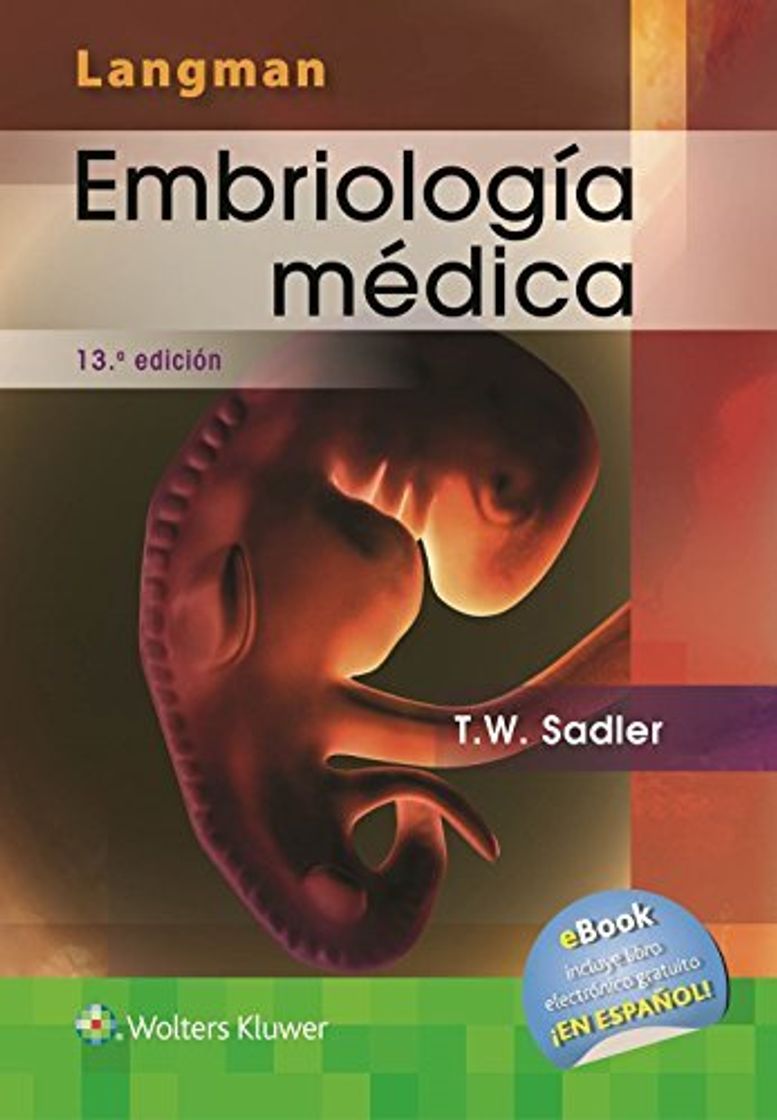 Books Langman. Embriología médica