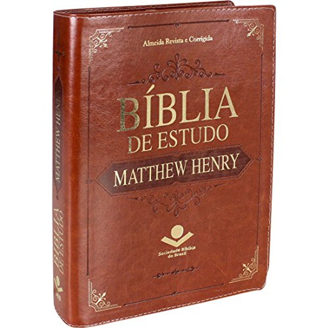 Book Bíblia de Estudo Matthew Henry