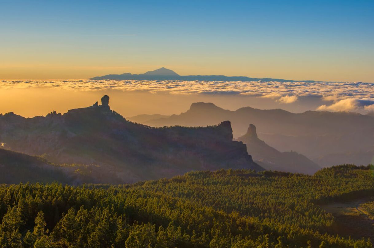 Place Pico de las Nieves