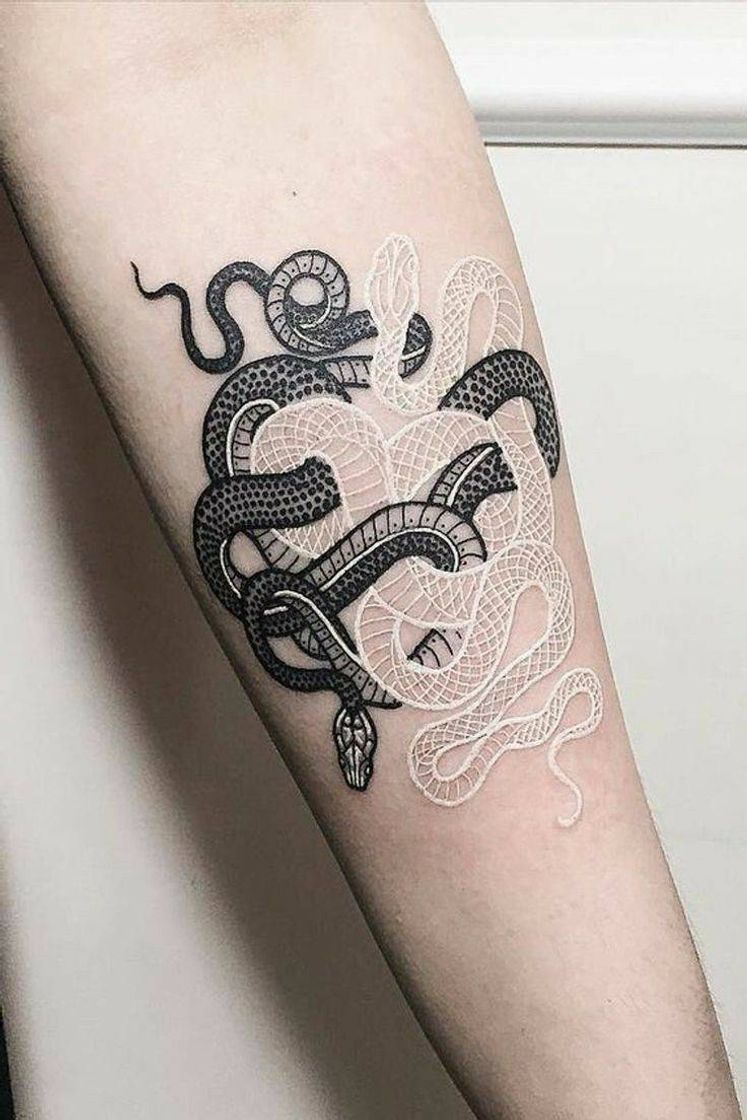 Social 🐍