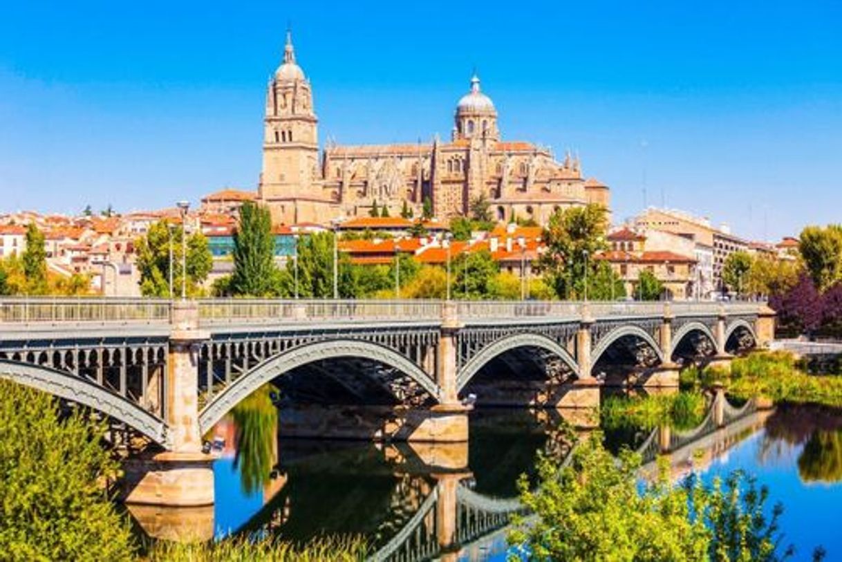 Place Salamanca