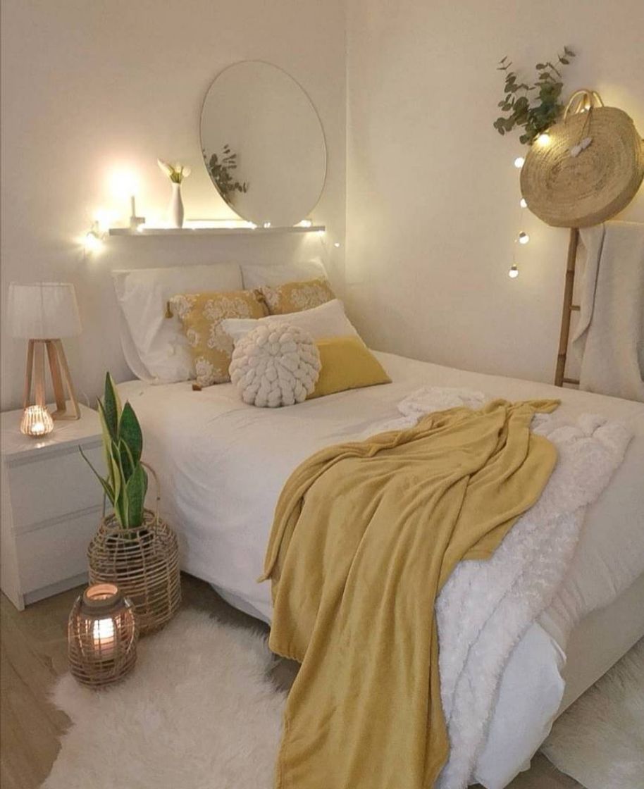 Social Quarto