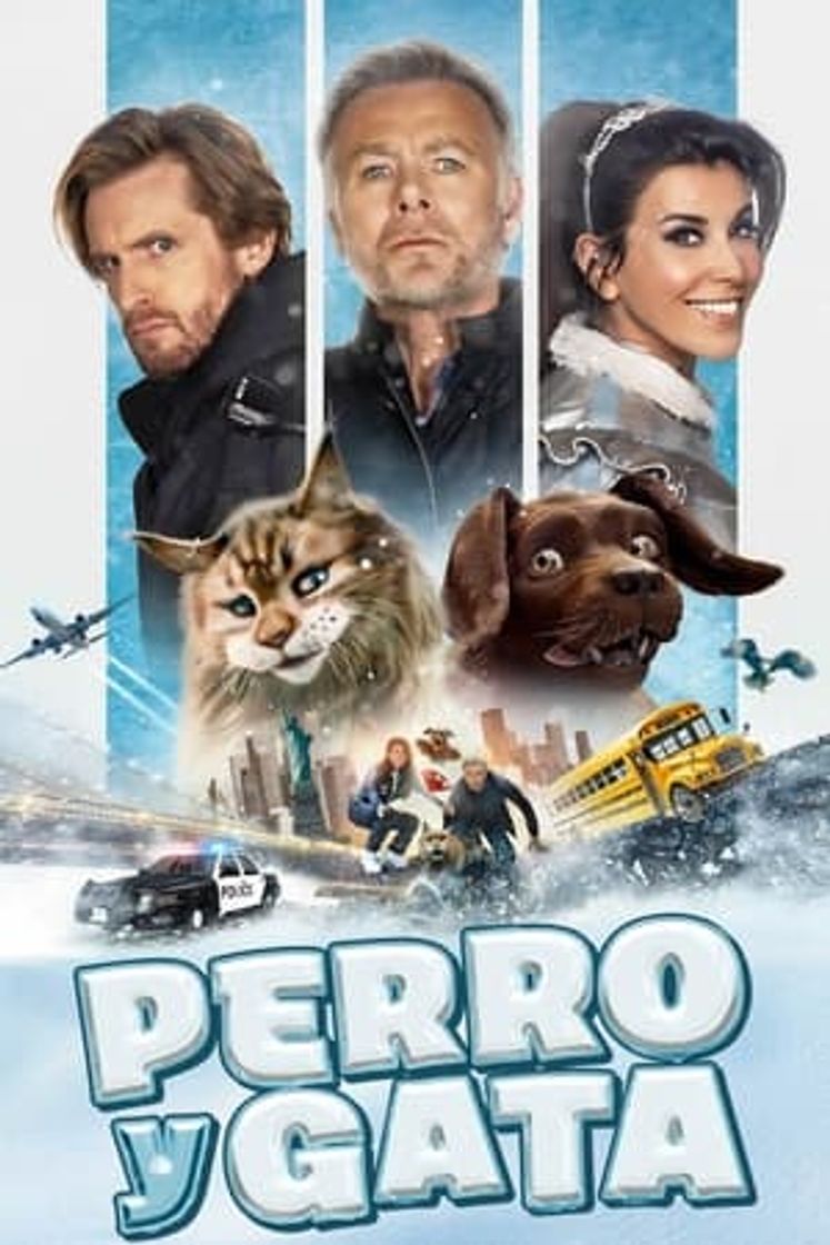 Película Perro y gata