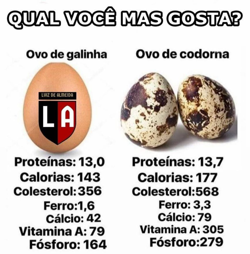 Moda Qual você mas gosta ovo de galinha ou de Codorna