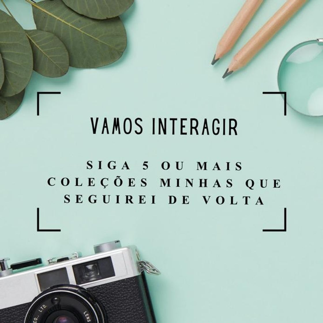 Social Monetização 