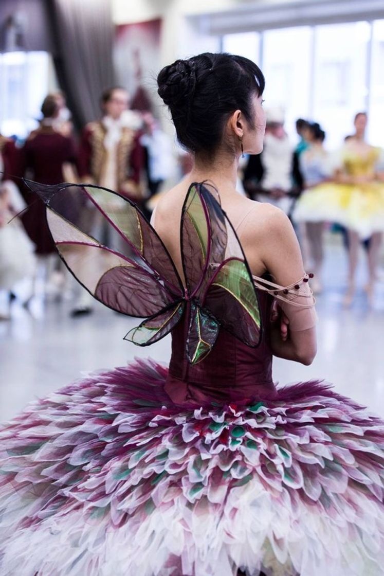 Social Ballet 