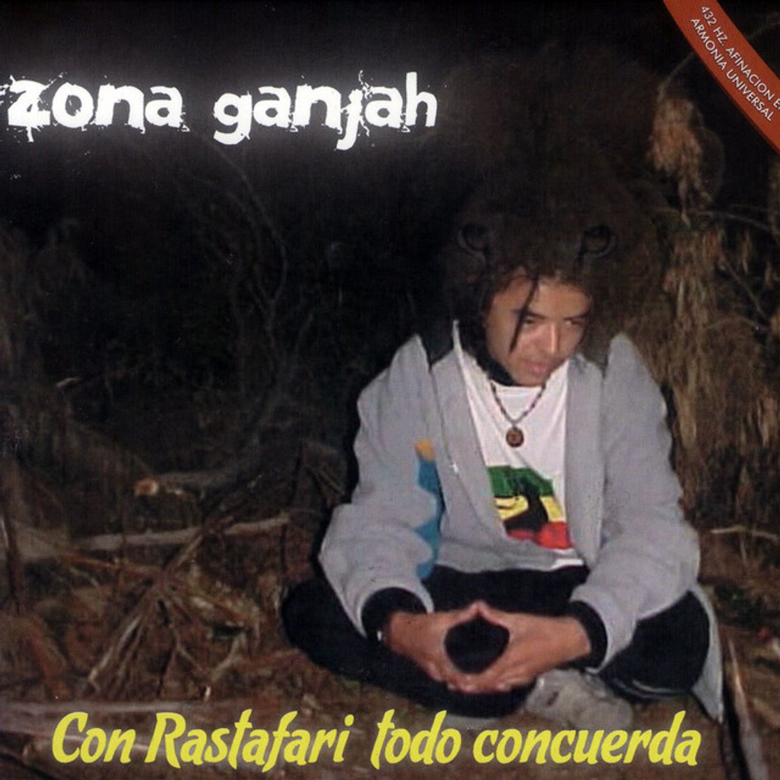 Canción Vibra Positova