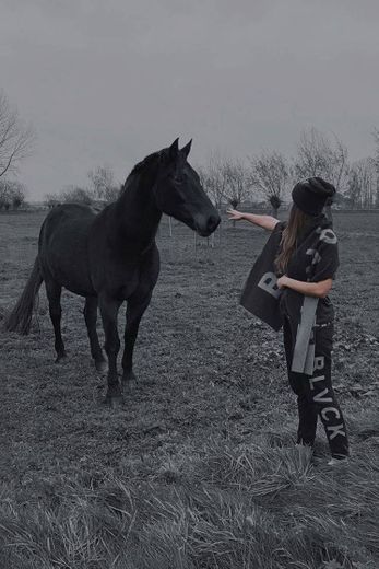 Black Horse 🐎🖤