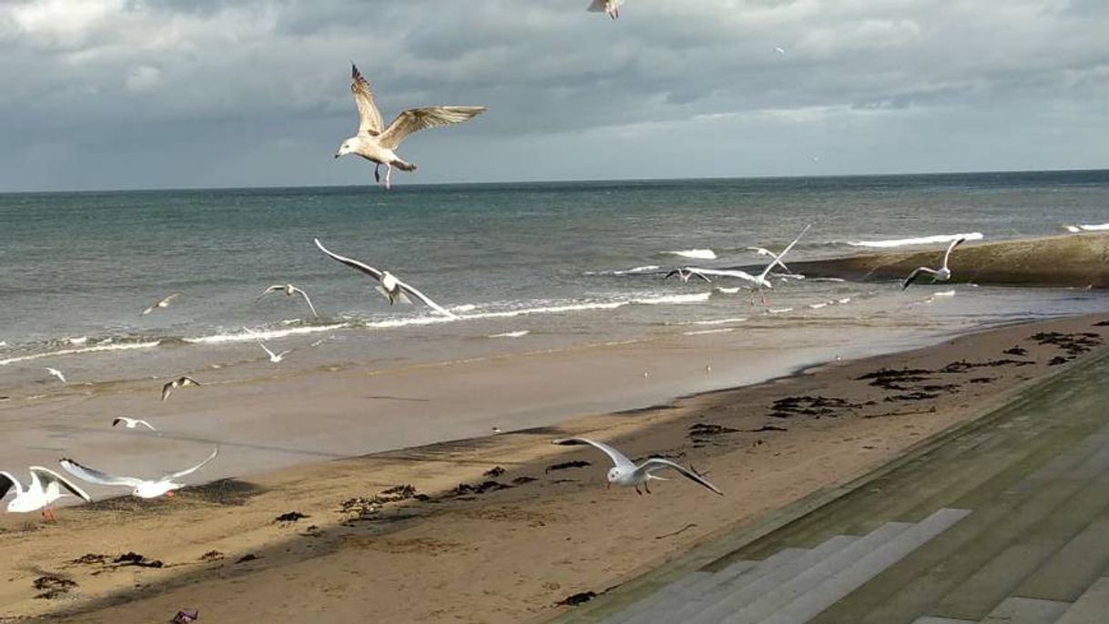 Places Redcar