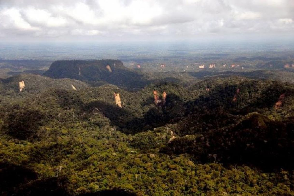 Places Parque Nacional da Serra do Divisor