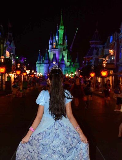 Magic Kingdom