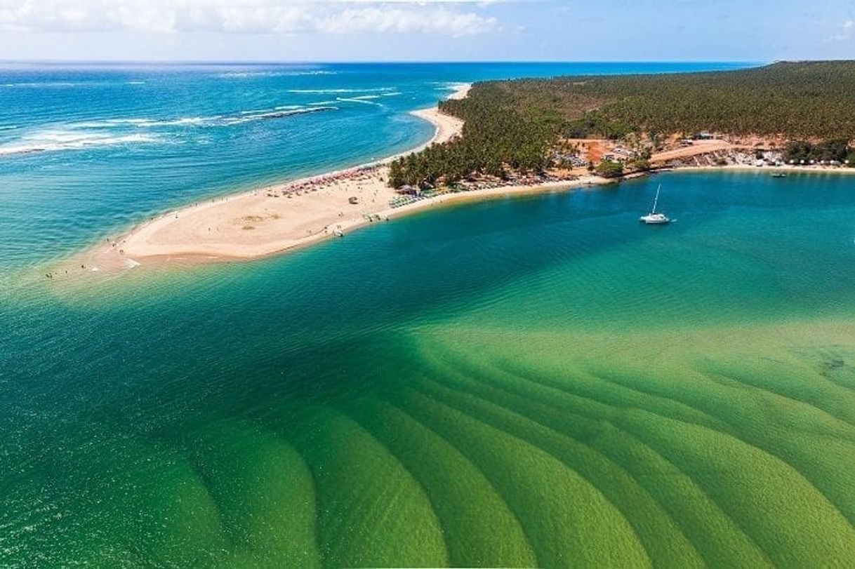 Lugar Praia do gunga maceió