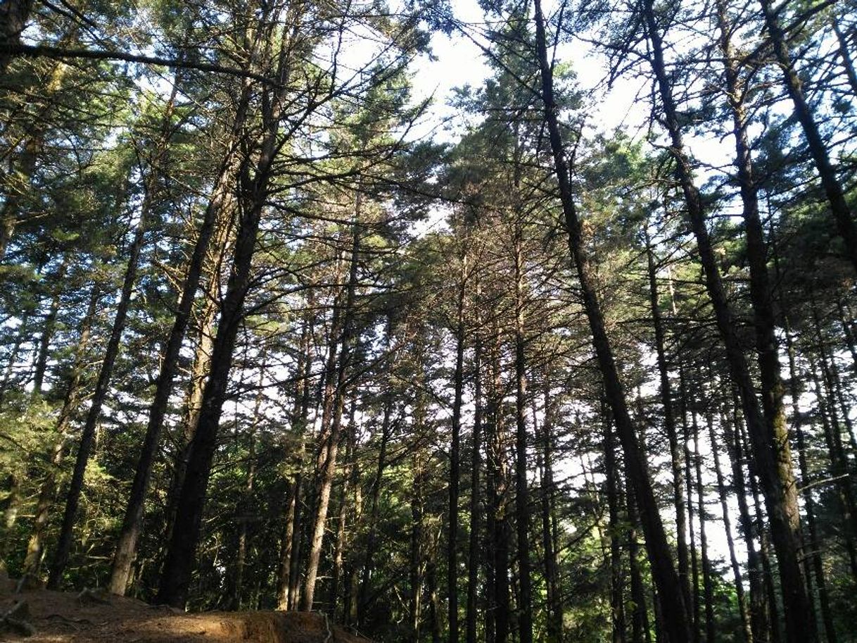 Place Laguna Fraijanes