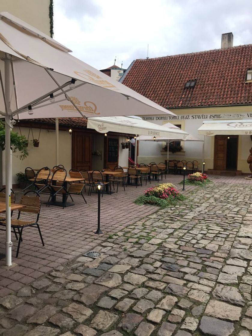 Restaurantes U Pivrnce - Hradčany