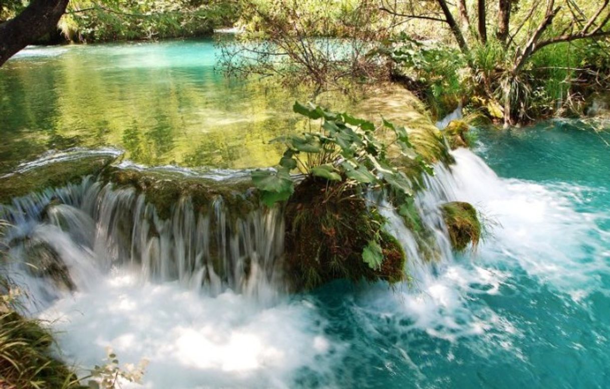 Lugar Parque Nacional de los Lagos de Plitvice