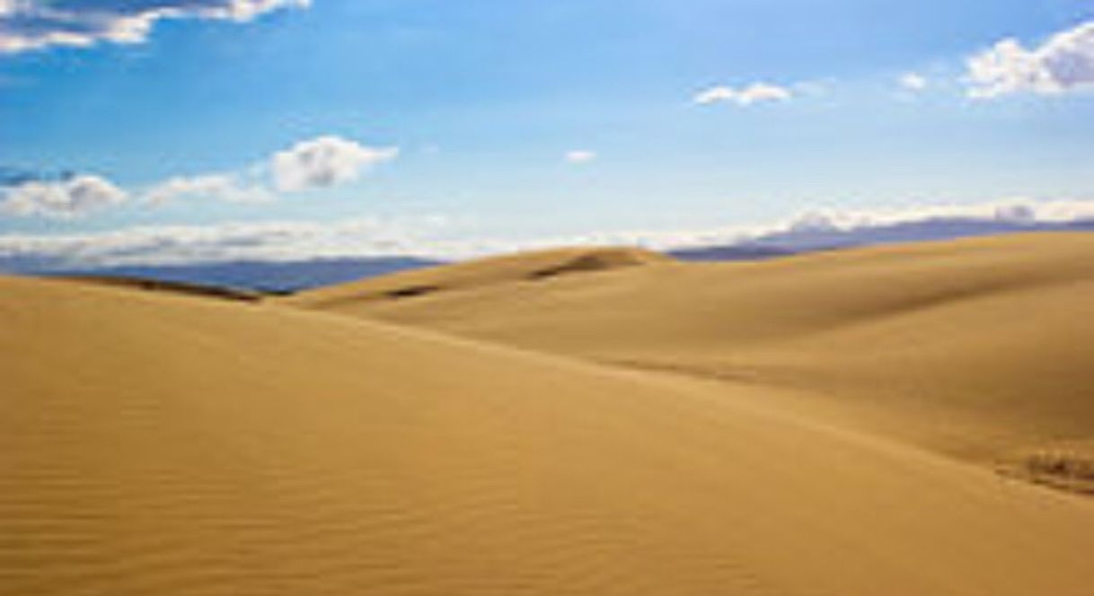 Lugar Médanos de Coro