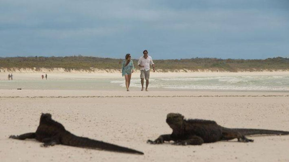 Lugares Galapagos Beach at Tortuga Bay