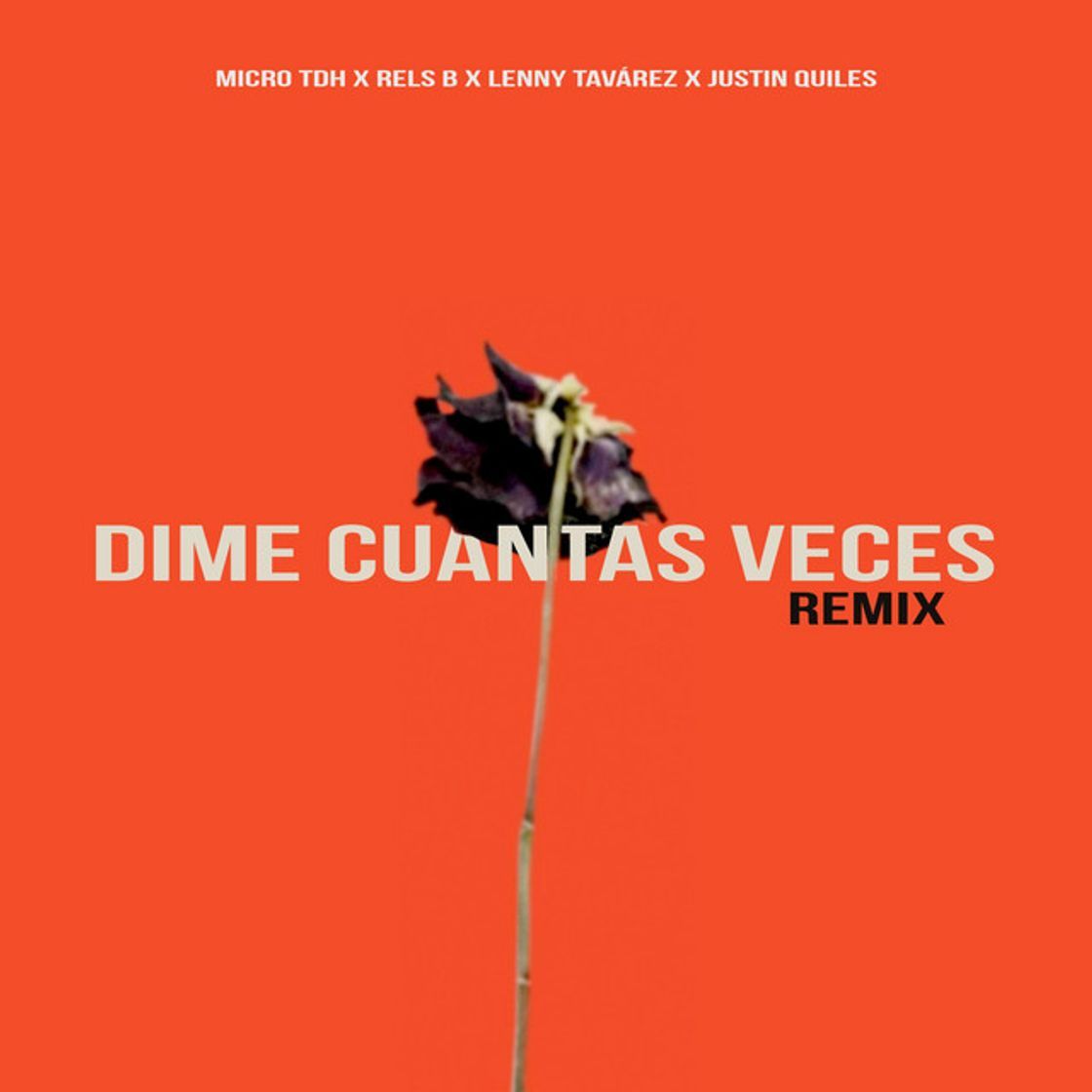 Music Dime Cuantas Veces (Remix) [feat. Justin Quiles]