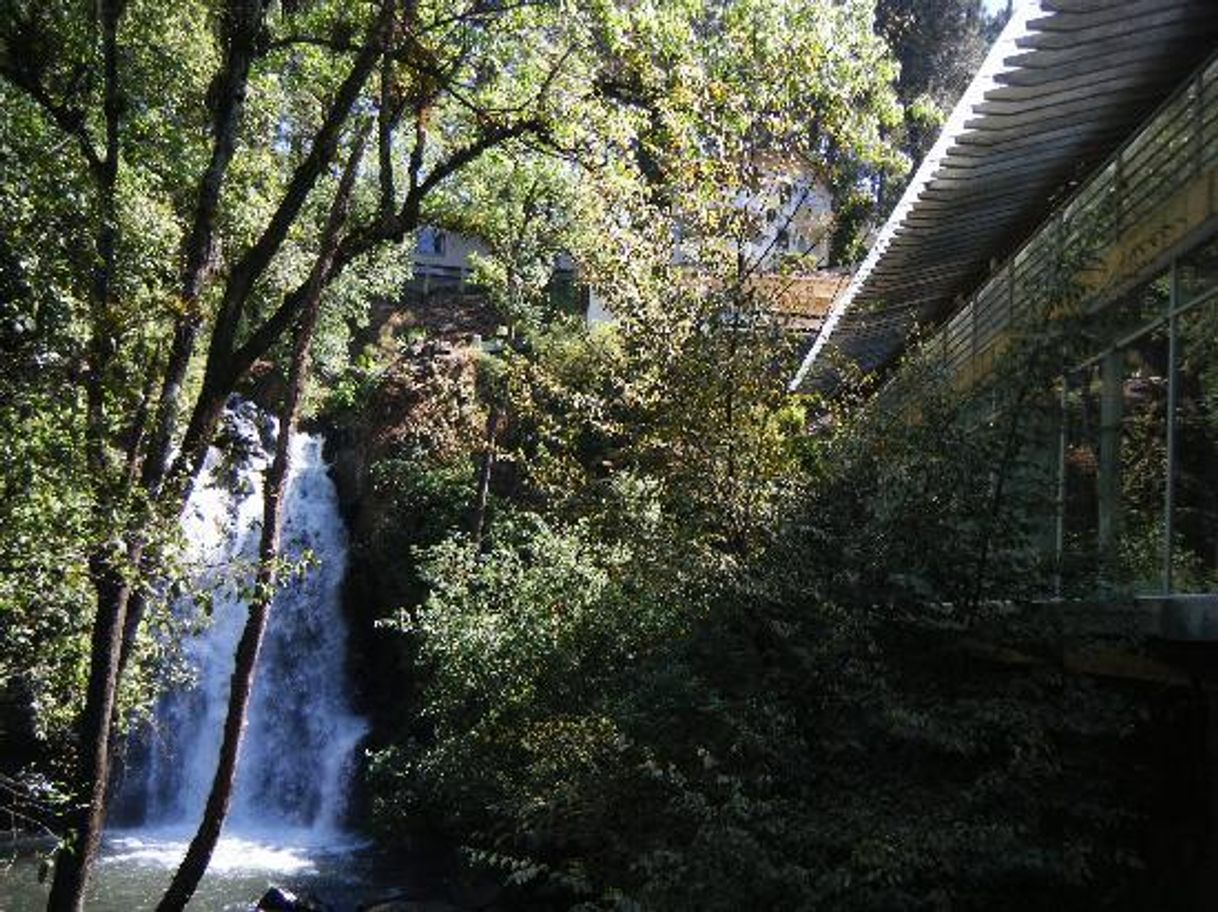 Restaurantes CASCADA REFUGIO DEL SALTO