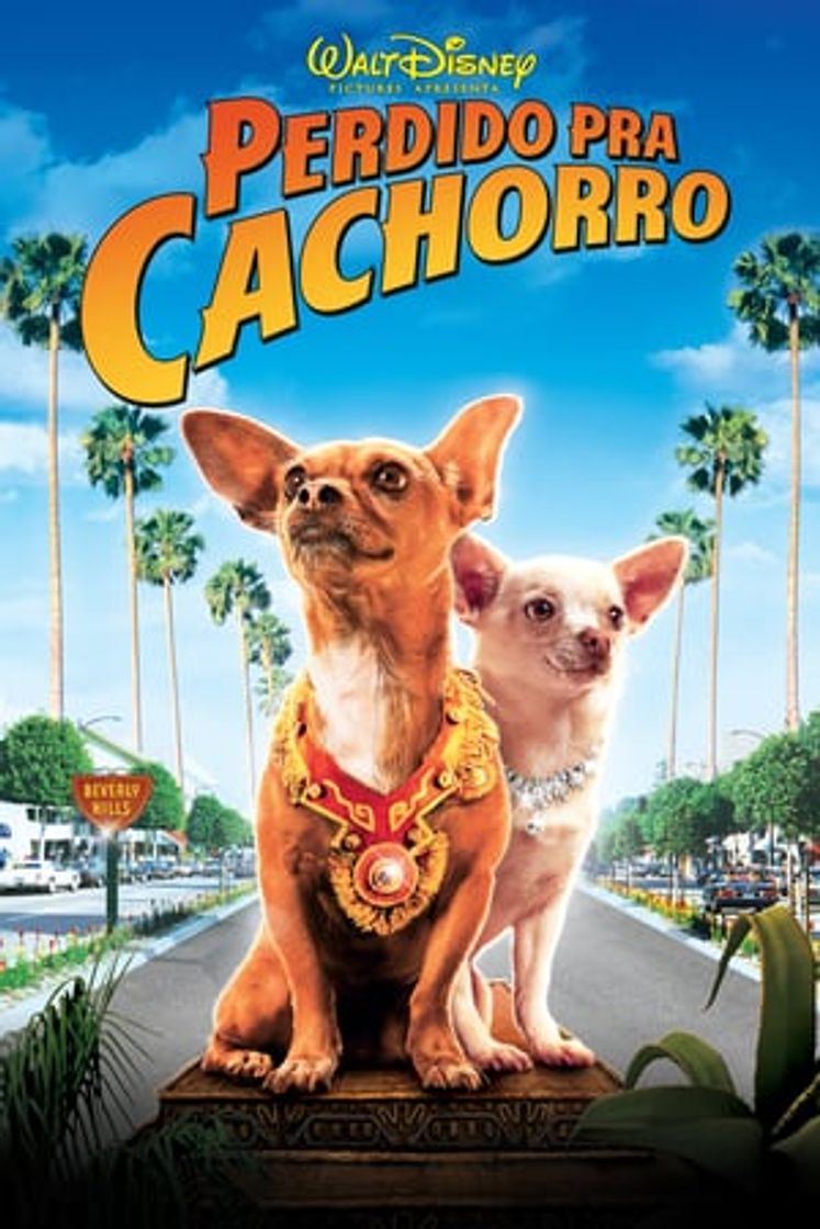 Película Un chihuahua en Beverly Hills