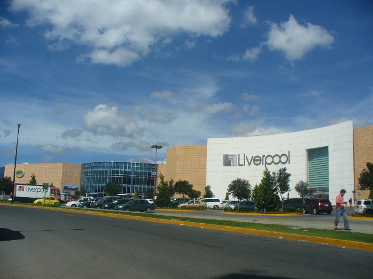 Lugar Galerias Pachuca